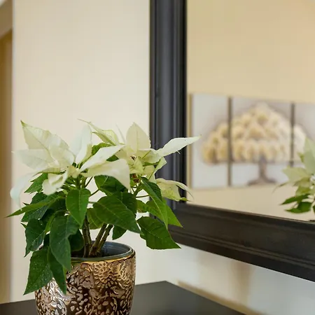 Casa Angela Pino 19_21 펜션 라스팔마스